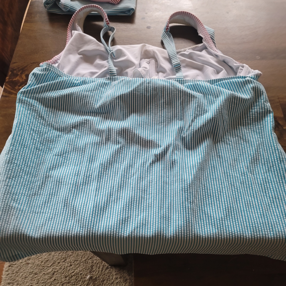 Landa End Striped Blue and Pink Underwire Tankini Set With 2 Briefs - Picture 2 of 8